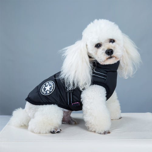 Dog Winter Waterproof Dog Clothes  With Harness