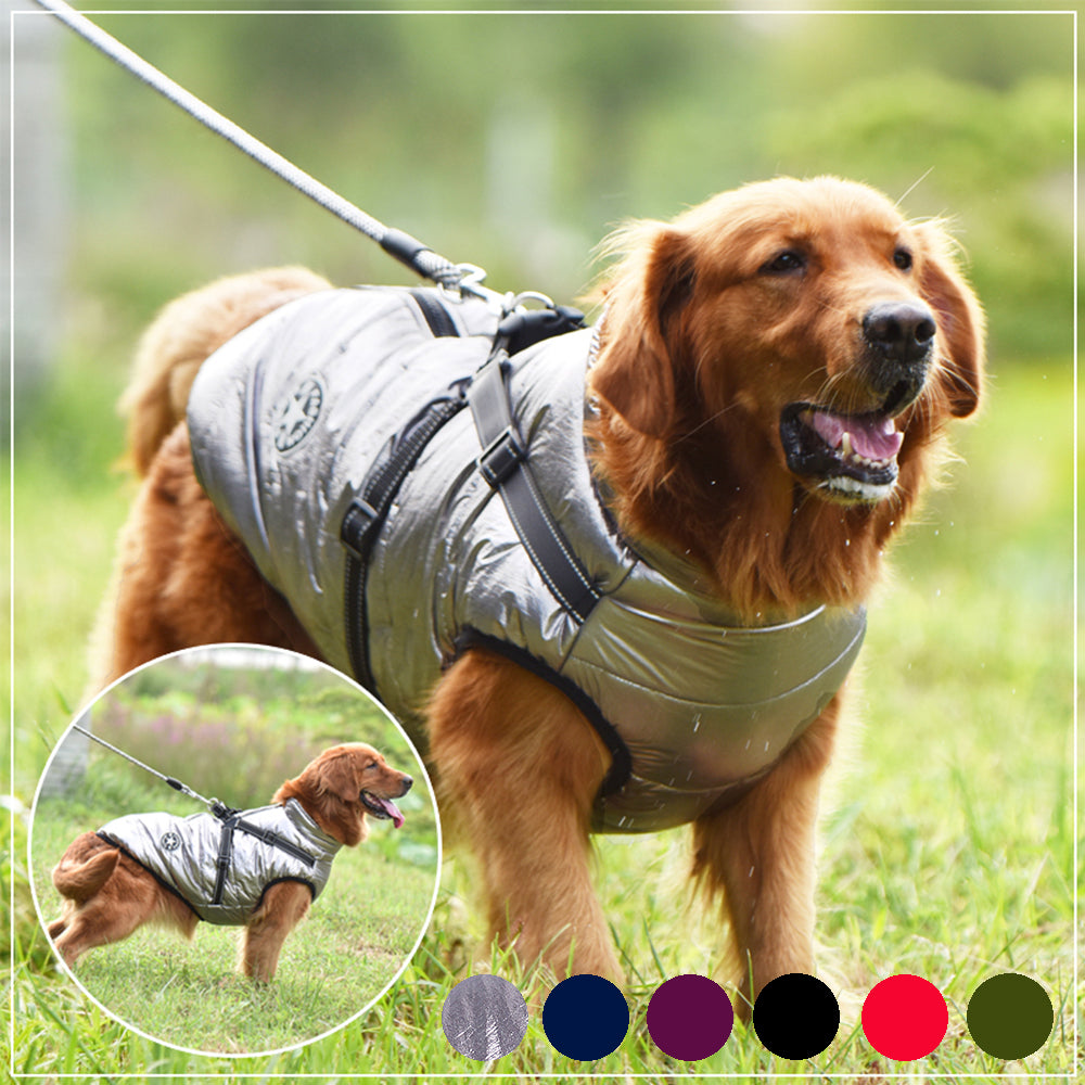 Dog Winter Waterproof Dog Clothes  With Harness