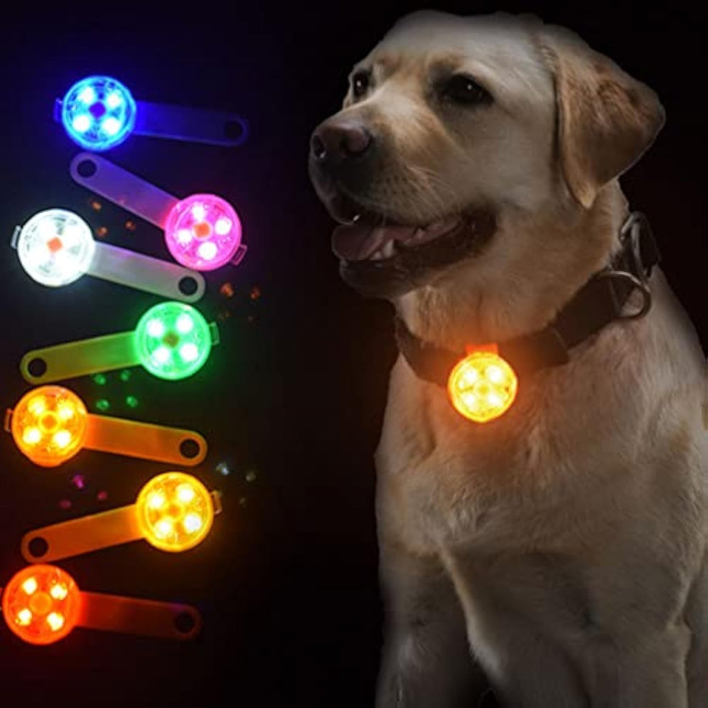Glowing Dog Pendant for enhanced visibility
