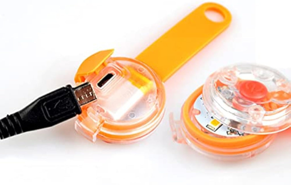 Glowing Dog Pendant for enhanced visibility